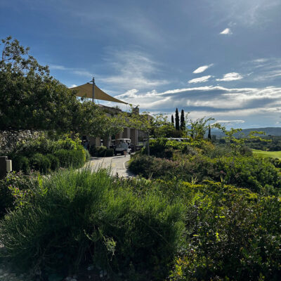 Photo-May-01-2025,-9-35-47-AM